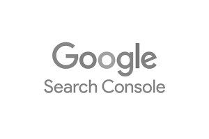 google-search-conasole