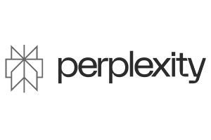 perplexity content